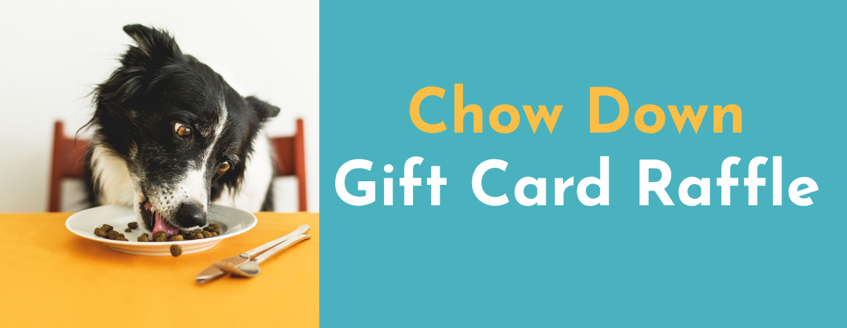 Chow Down Gift Card Raffle